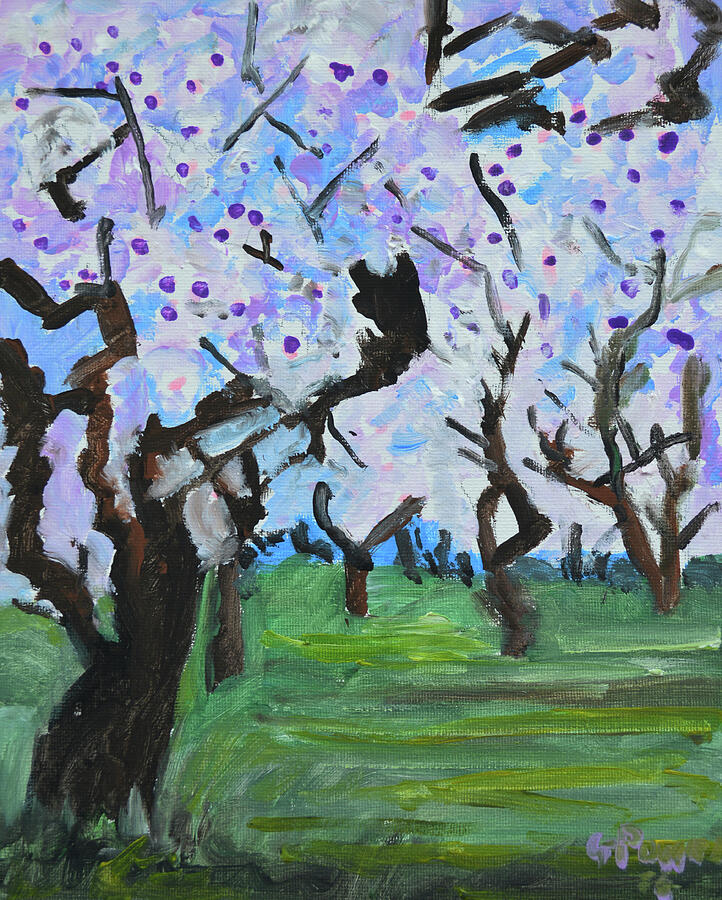 Cherry Blossom Orchard in Spring Painting