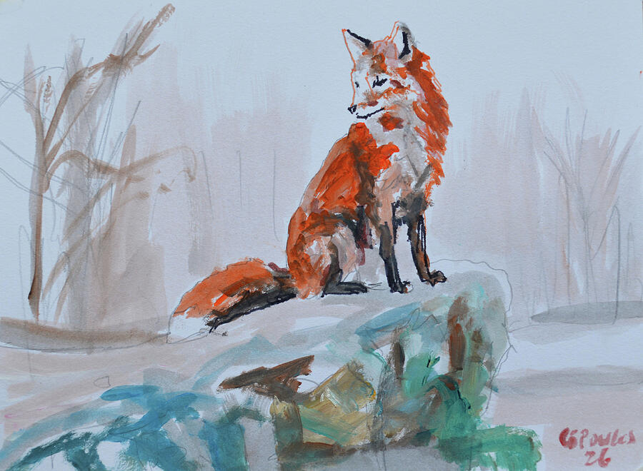 Watchful Red Fox on a Rock Wildlife Painting